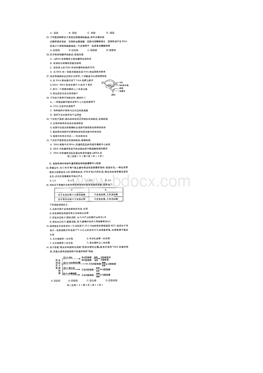 河南省洛阳市学年高二生物上学期期中试题.docx_第3页