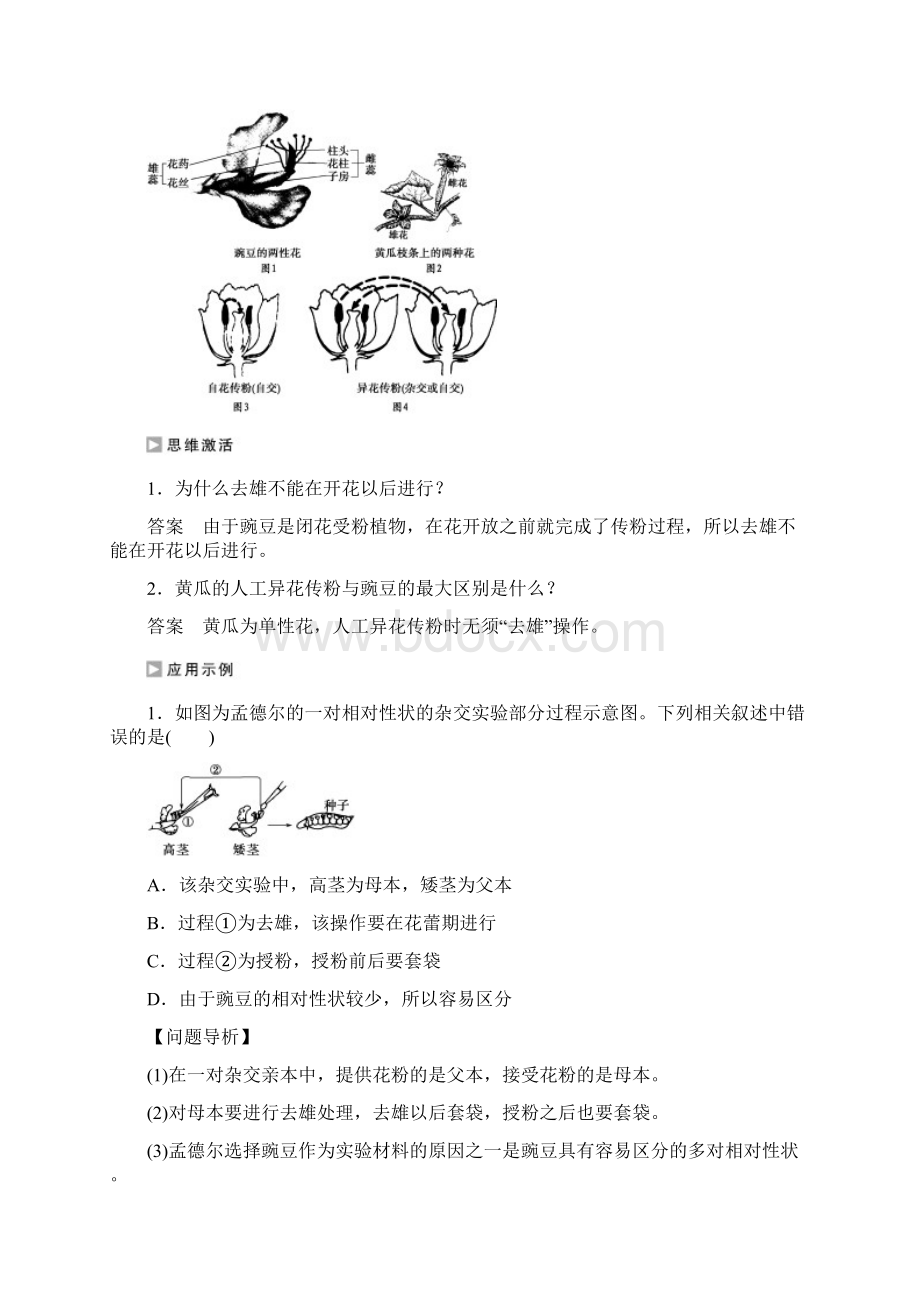 学年高中生物苏教版必修二学案文档第三章 第一节 基因的分离定律Ⅰ.docx_第3页