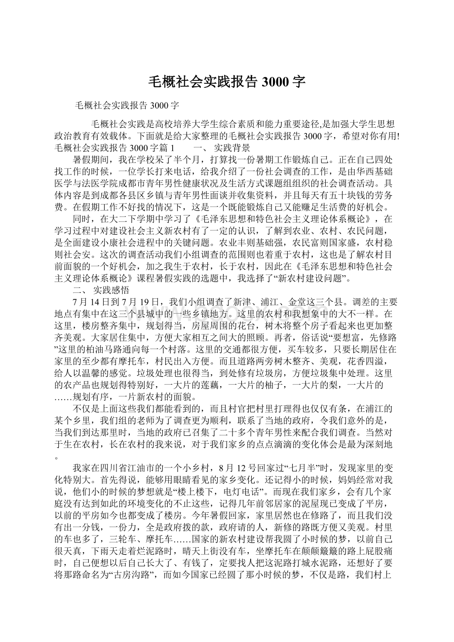 毛概社会实践报告3000字.docx_第1页