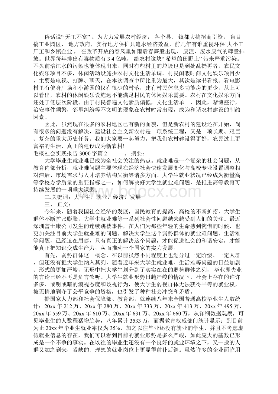 毛概社会实践报告3000字.docx_第3页