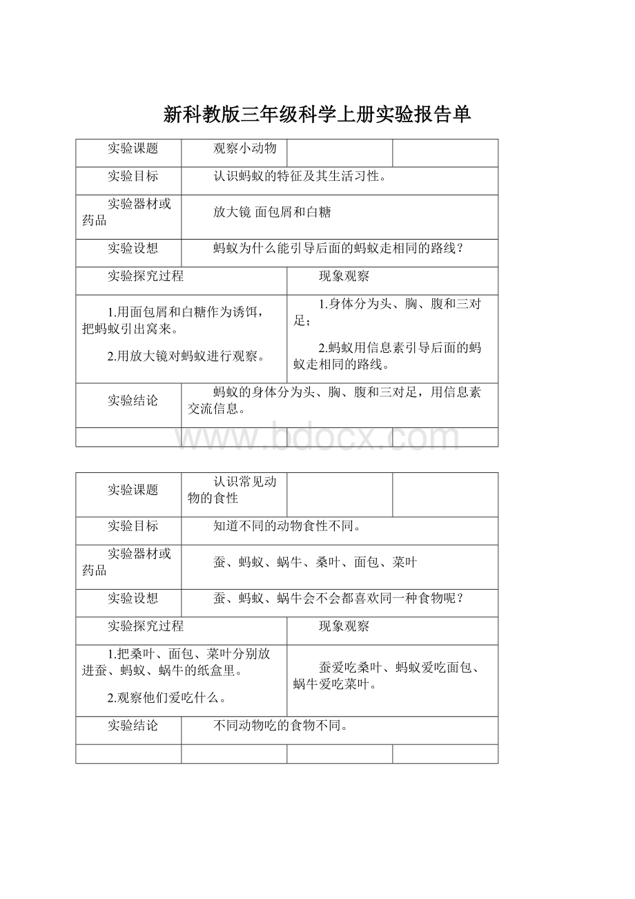 新科教版三年级科学上册实验报告单.docx