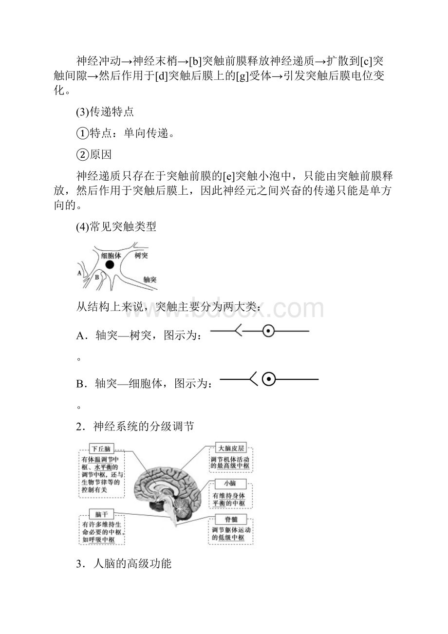 学年高中生物第2章动物和人体生命活动的调节第1节通过神经系统的调节2教案新人教版必修3.docx_第2页