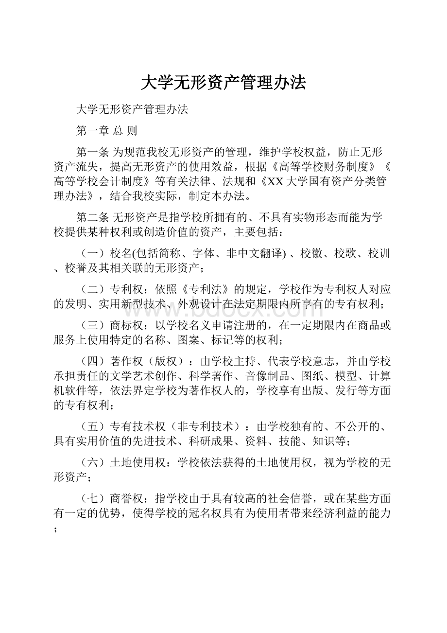 大学无形资产管理办法Word文档格式.docx