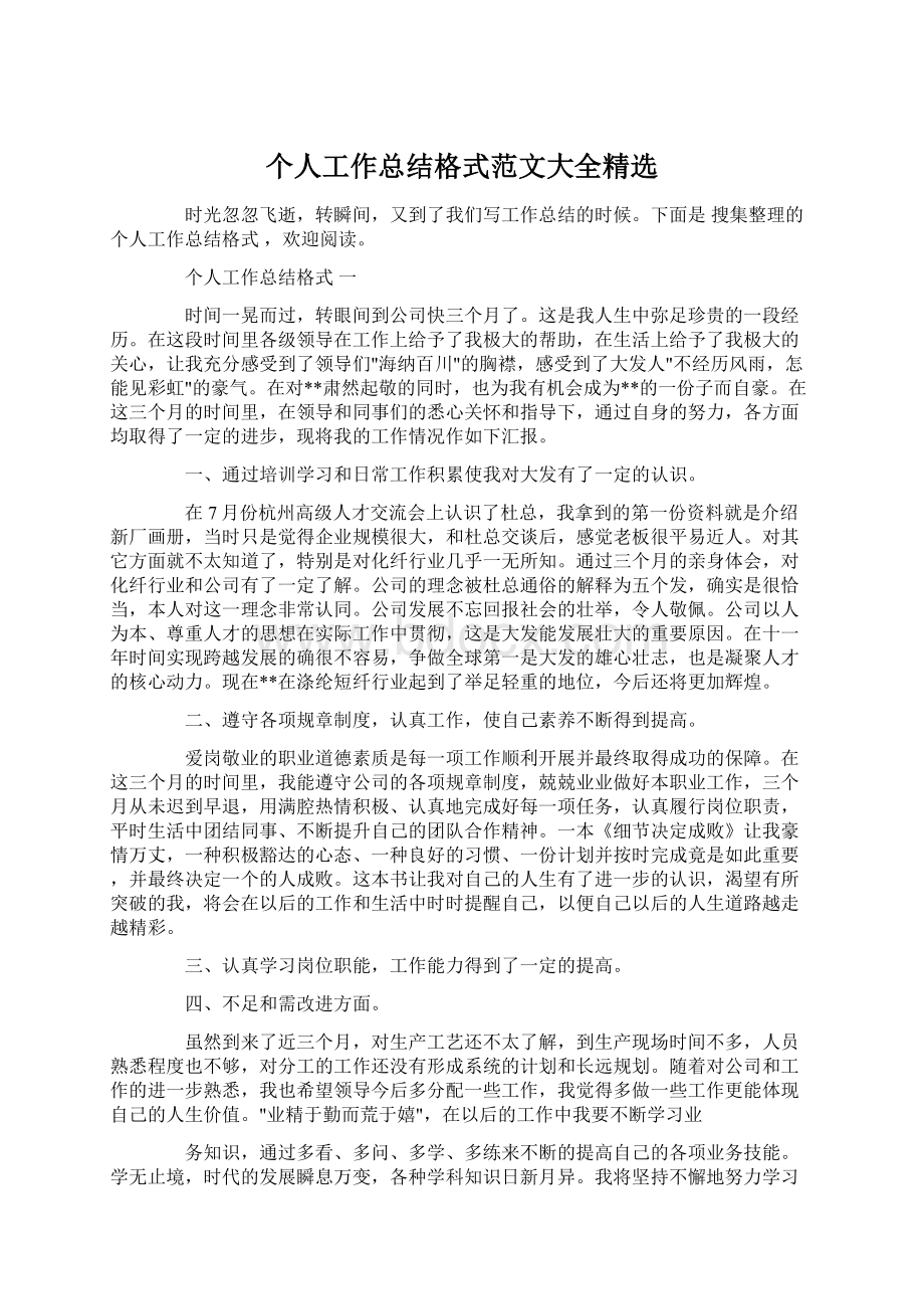 个人工作总结格式范文大全精选.docx_第1页