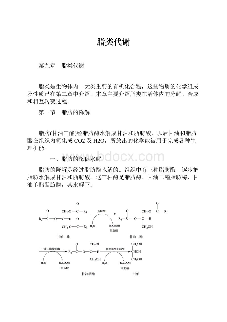 脂类代谢Word文件下载.docx