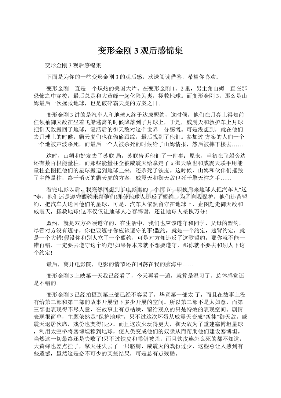 变形金刚3观后感锦集Word格式文档下载.docx