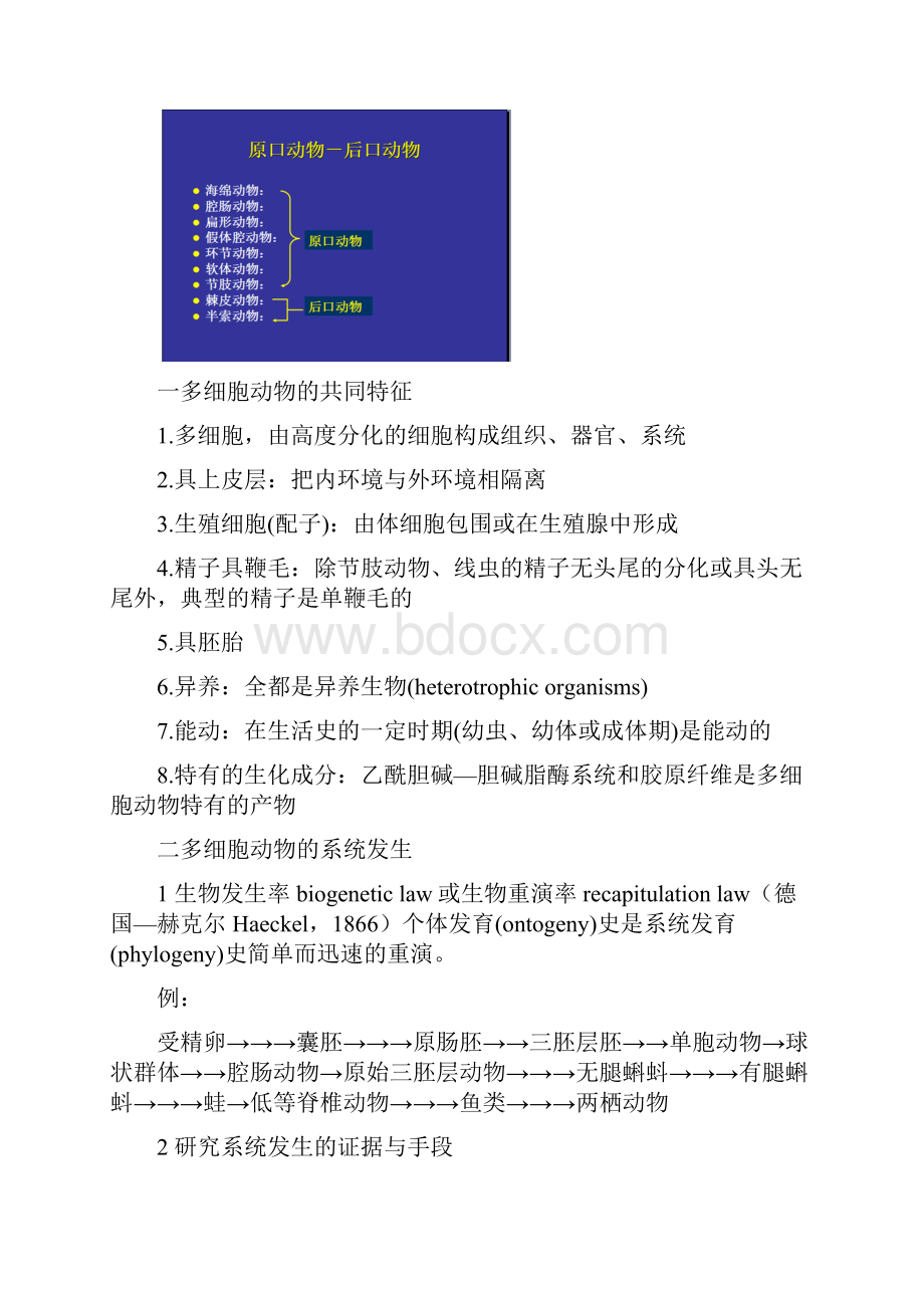 普通动物学1.docx_第3页