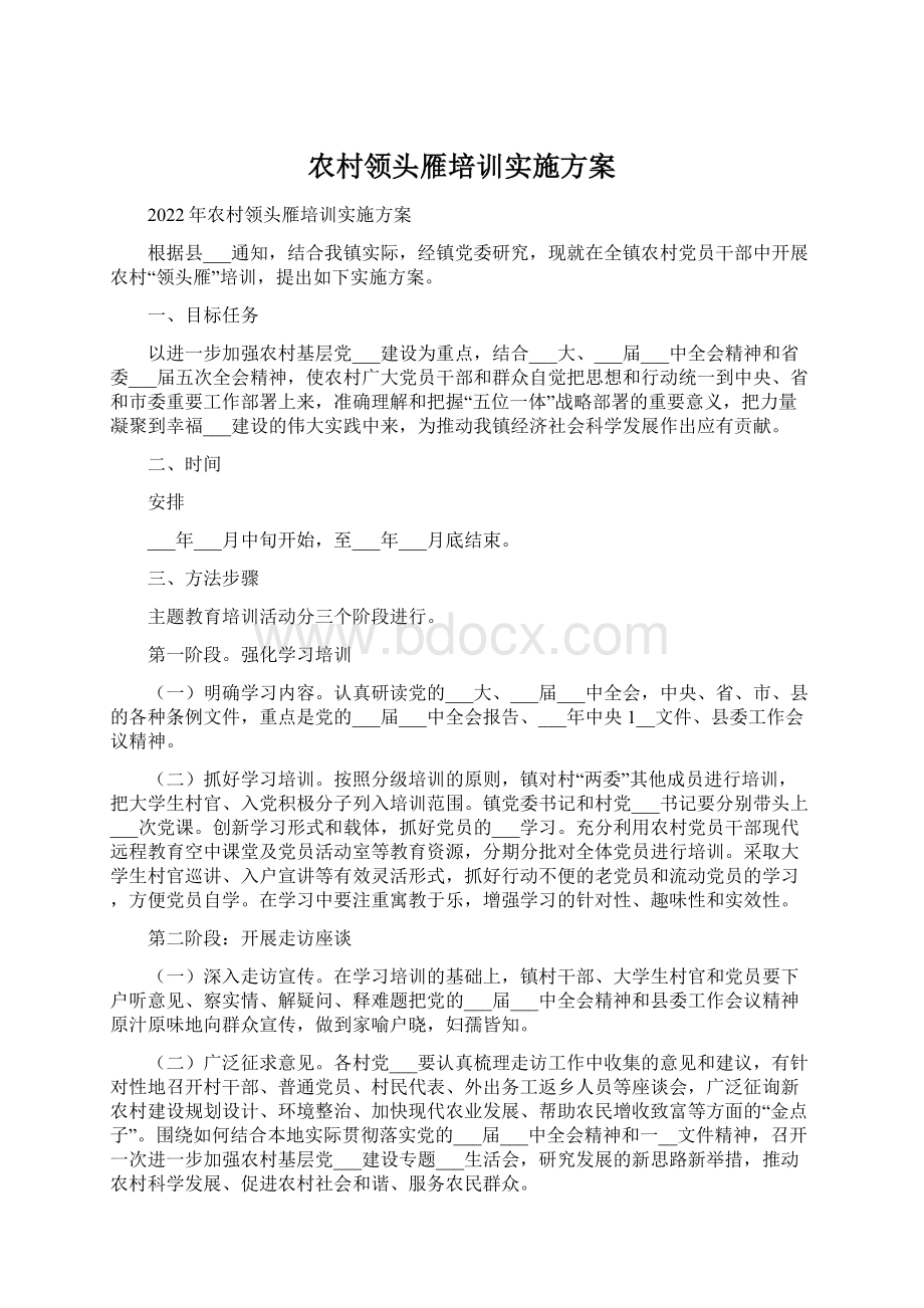 农村领头雁培训实施方案文档格式.docx