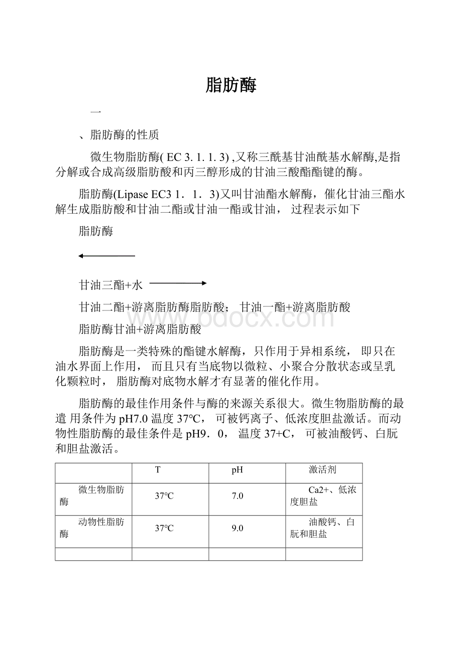 脂肪酶.docx_第1页