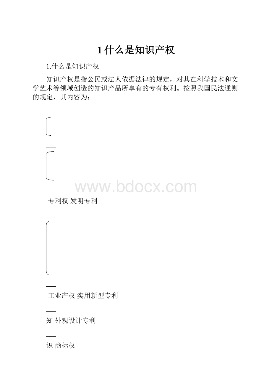 1什么是知识产权Word文档下载推荐.docx