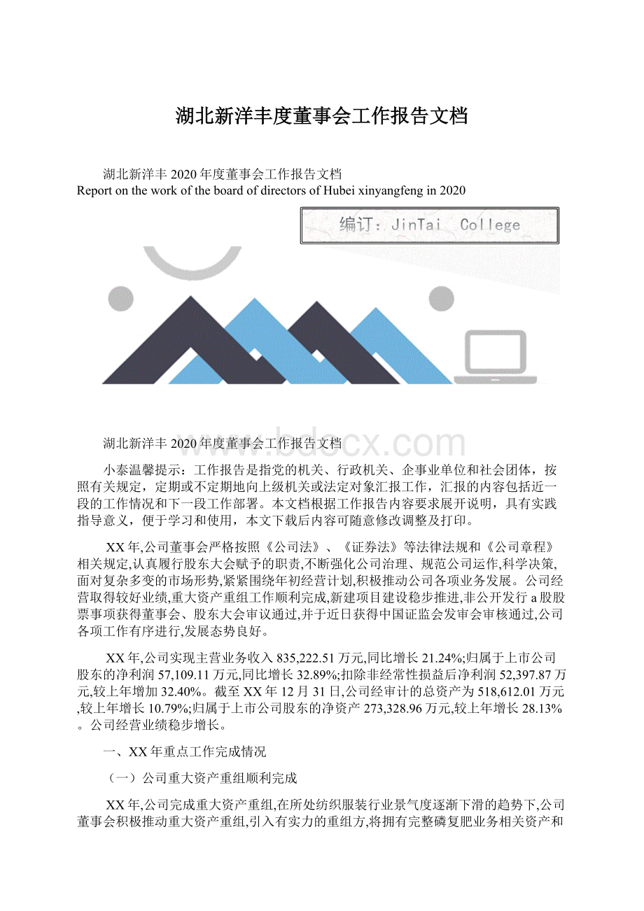 湖北新洋丰度董事会工作报告文档.docx