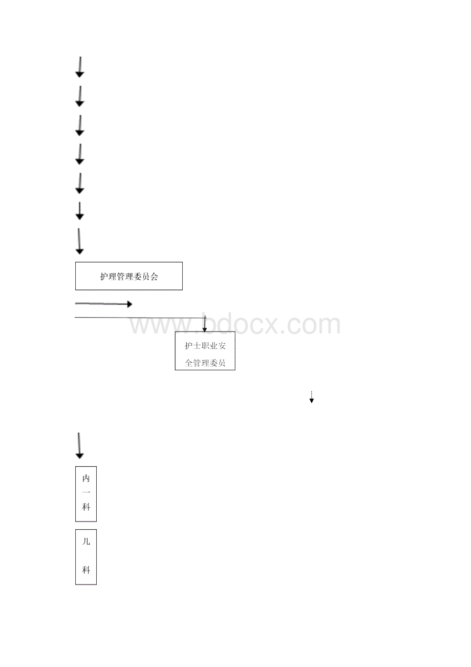 护理管理组织架构.docx_第3页