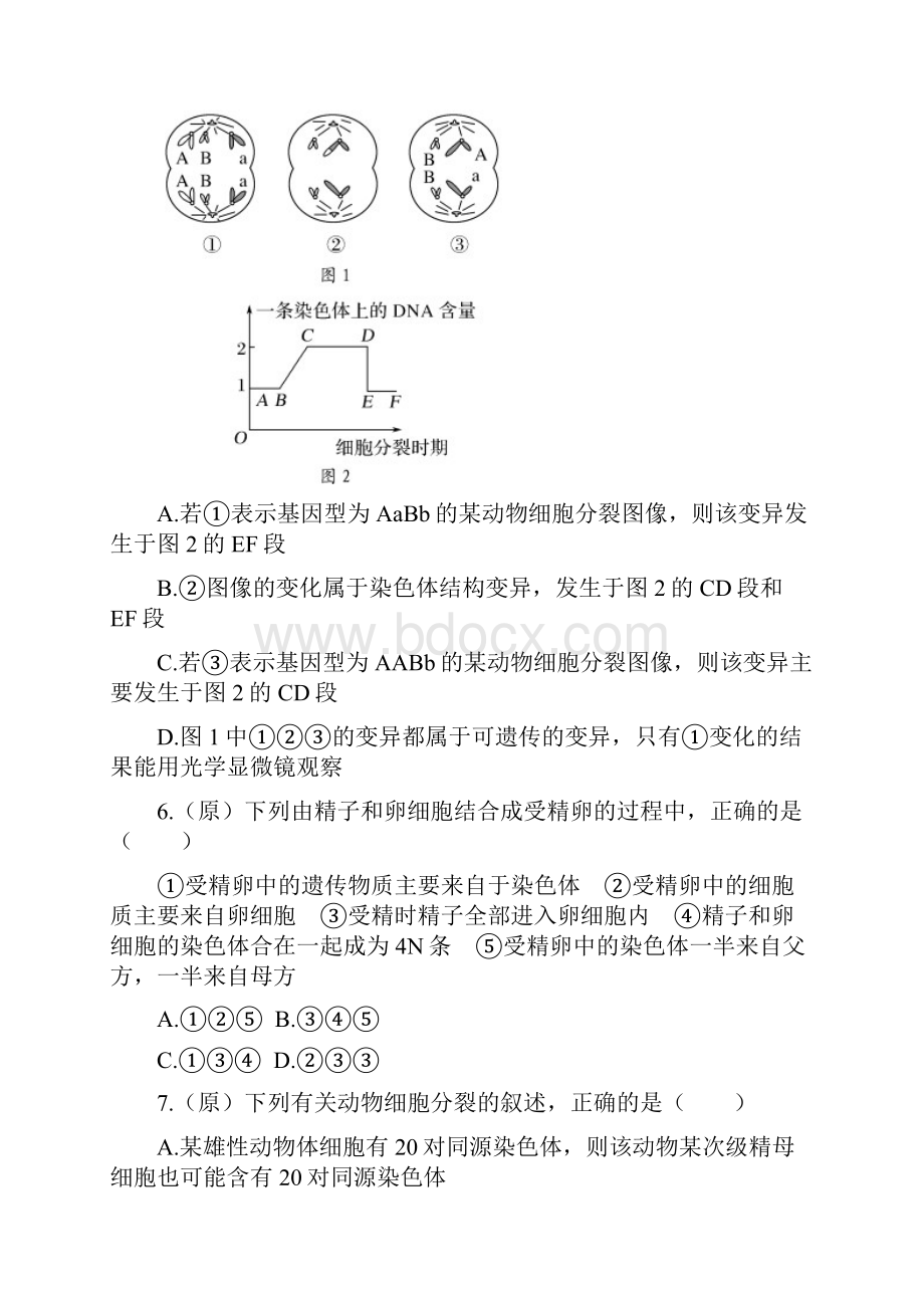 细胞分裂和和孟德尔遗传定律精选习题Word文档下载推荐.docx_第3页