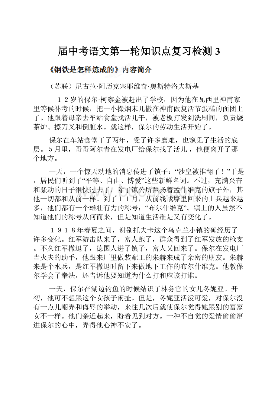 届中考语文第一轮知识点复习检测3.docx