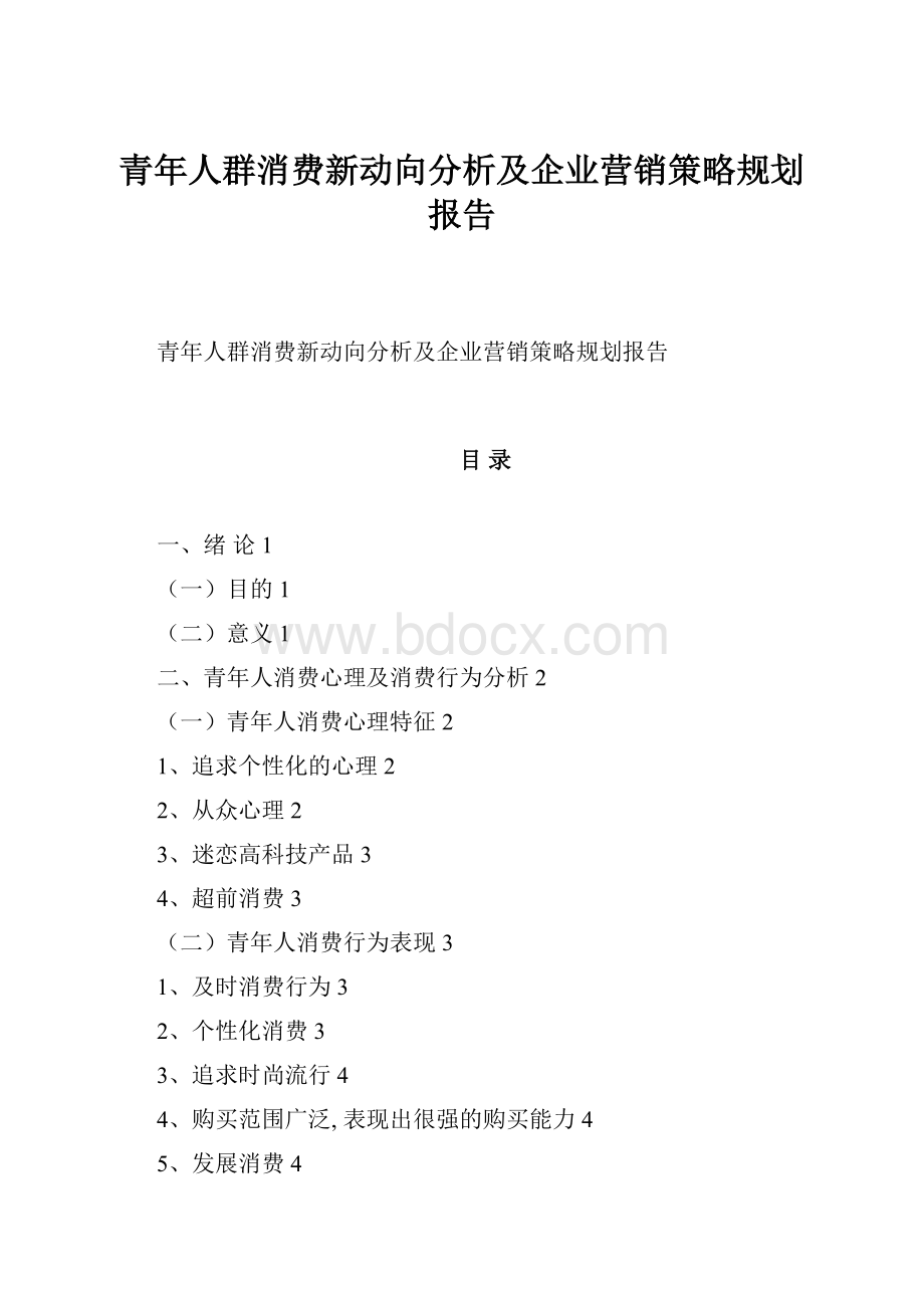 青年人群消费新动向分析及企业营销策略规划报告Word格式.docx_第1页