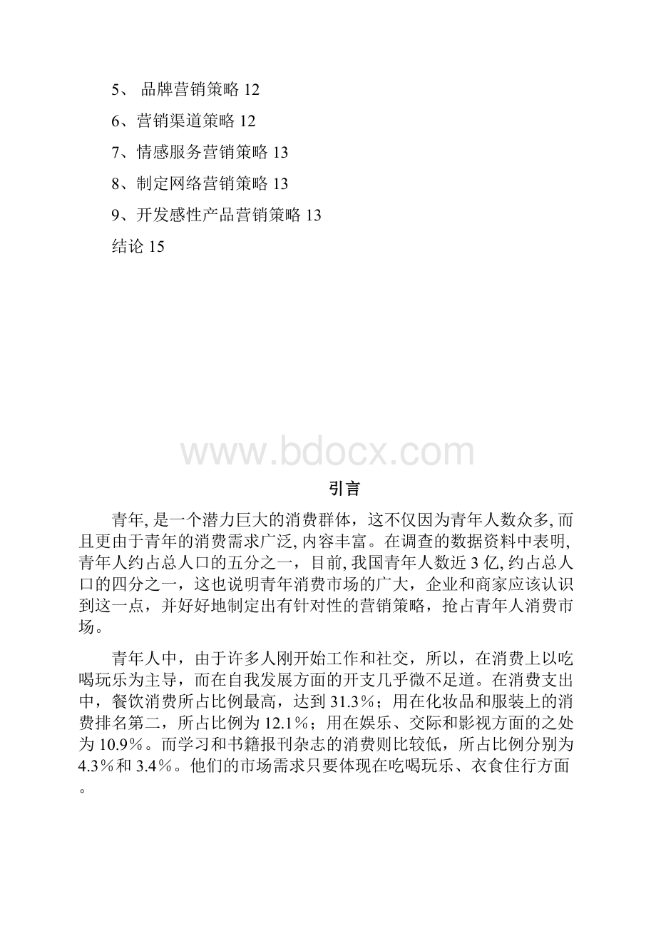 青年人群消费新动向分析及企业营销策略规划报告Word格式.docx_第3页