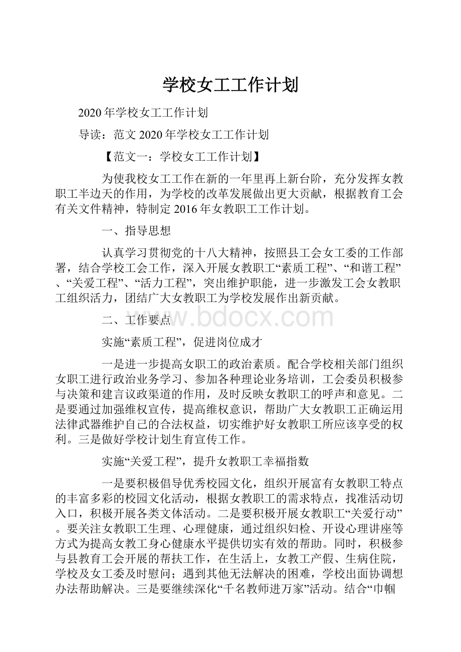 学校女工工作计划文档格式.docx