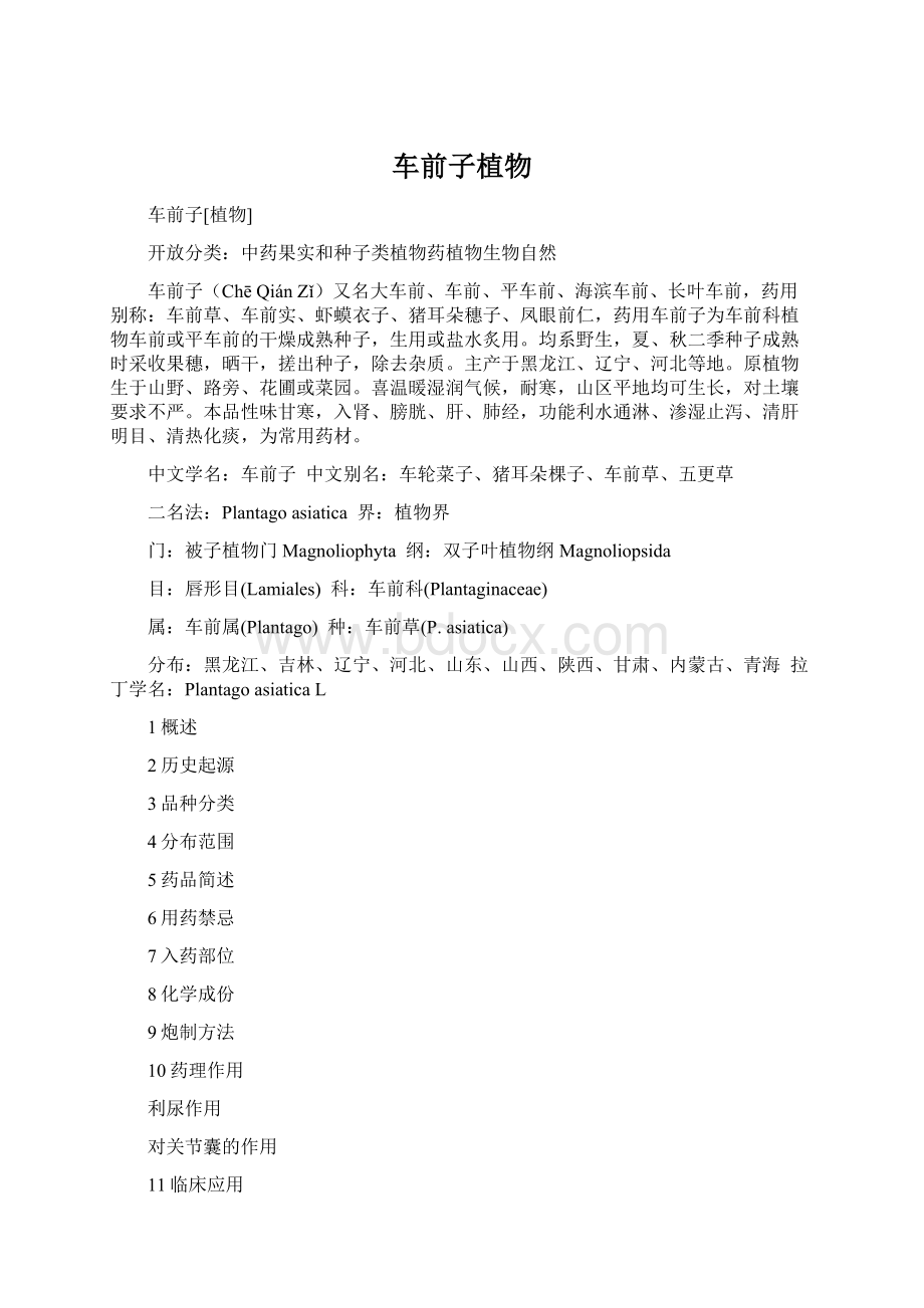 车前子植物Word文档下载推荐.docx_第1页