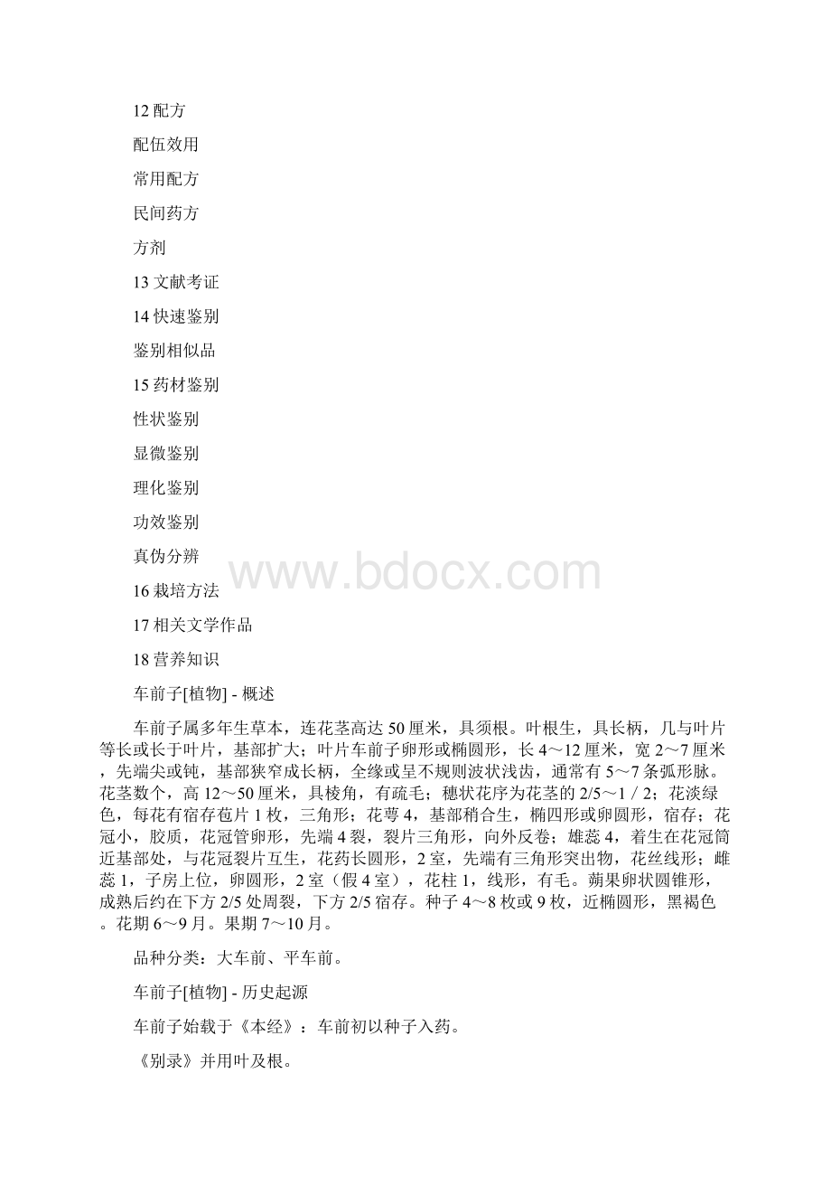 车前子植物Word文档下载推荐.docx_第2页