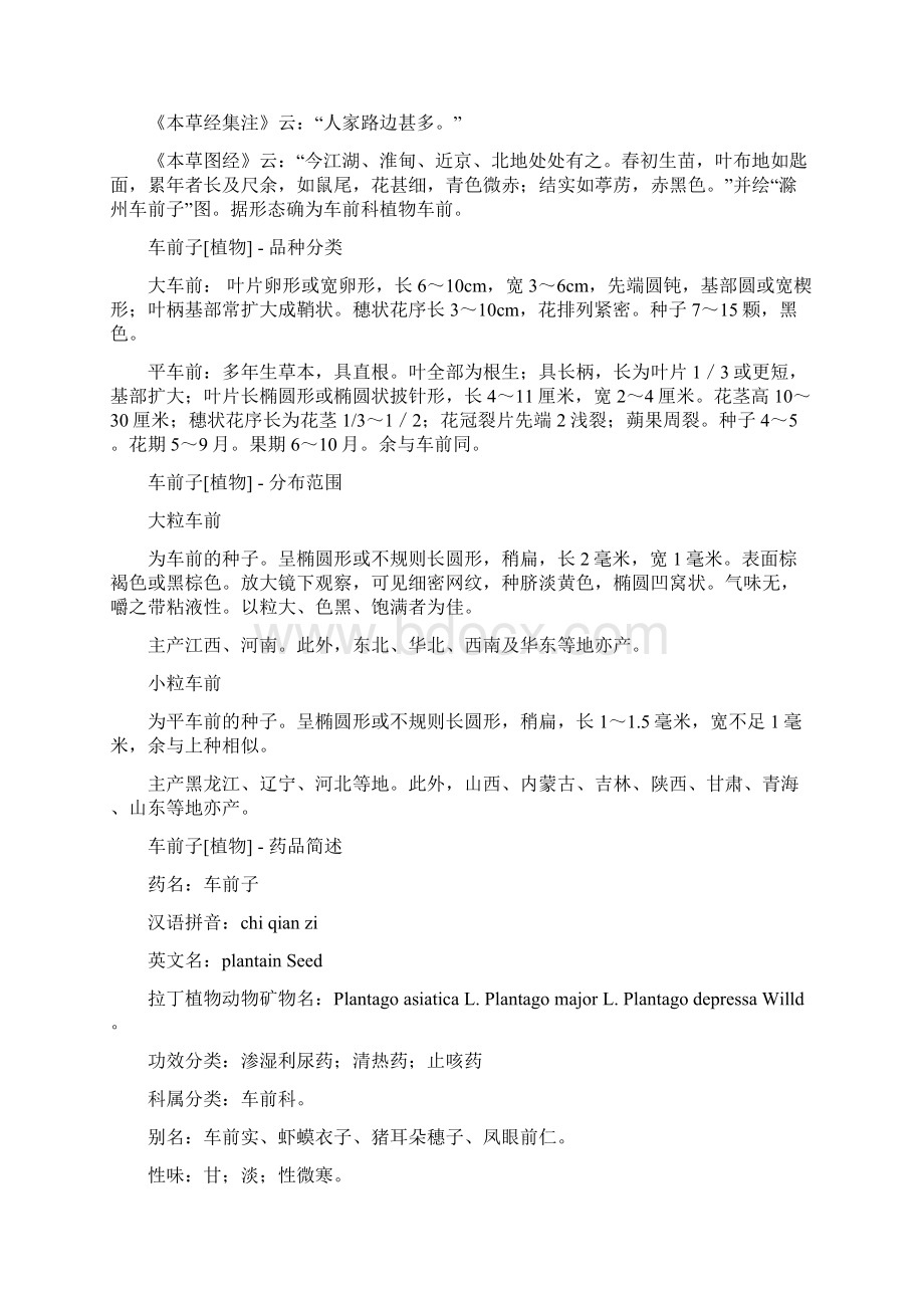 车前子植物Word文档下载推荐.docx_第3页