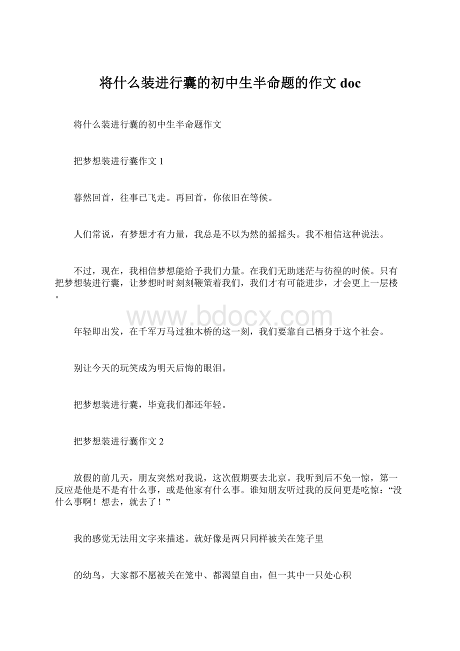 将什么装进行囊的初中生半命题的作文docWord文档格式.docx_第1页