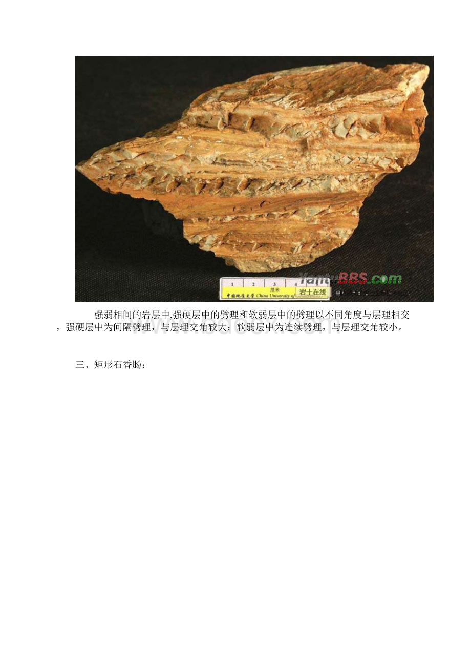 各种地质沉积构造图集地大.docx_第2页
