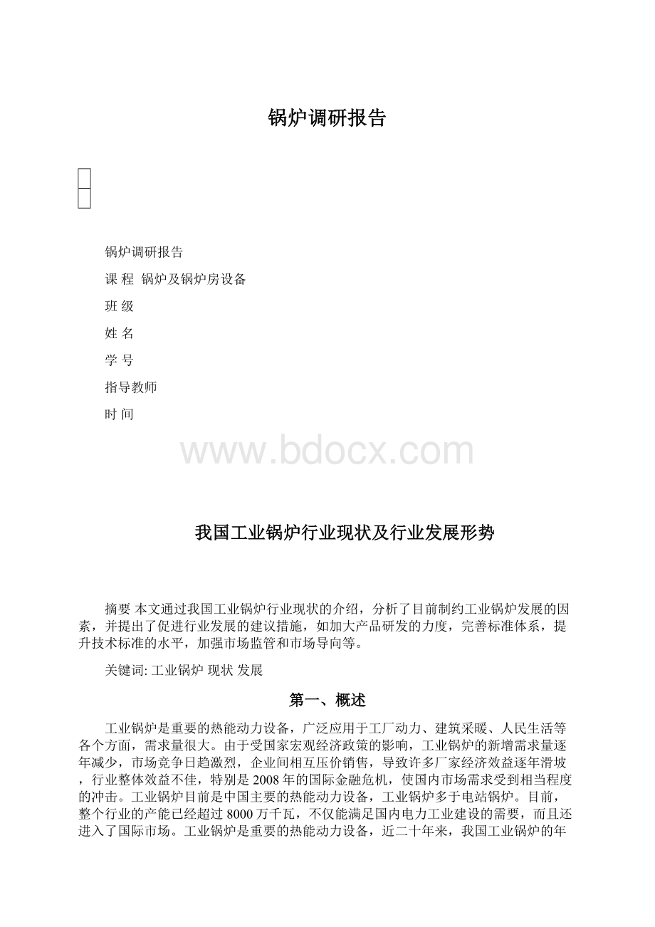 锅炉调研报告.docx_第1页