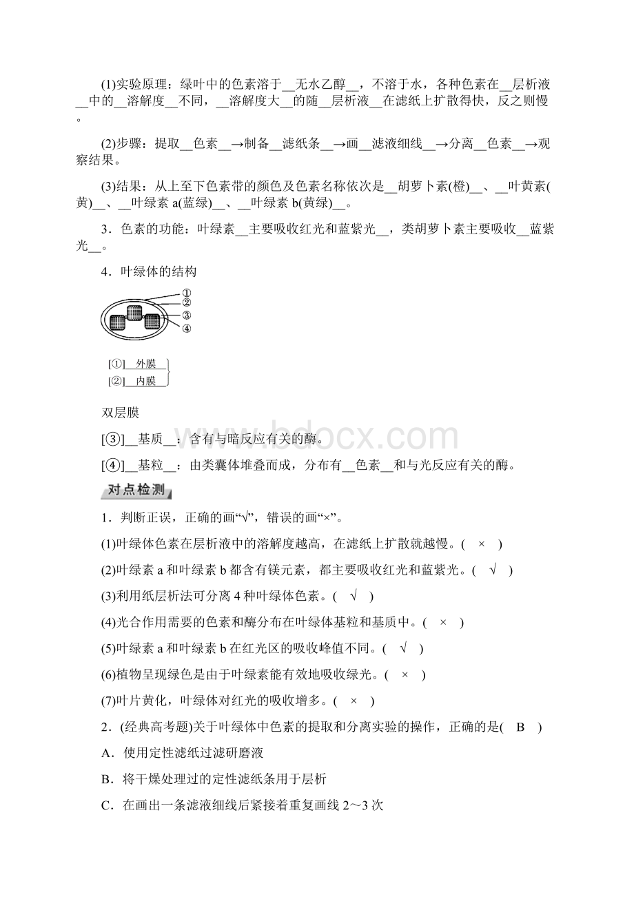 届一轮复习人教版光合作用 教案.docx_第2页