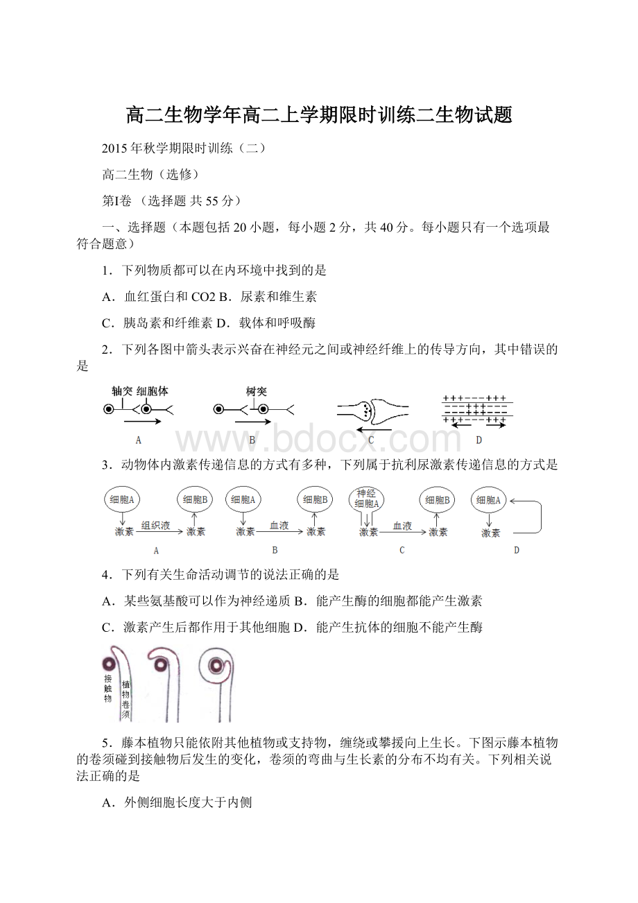 高二生物学年高二上学期限时训练二生物试题.docx