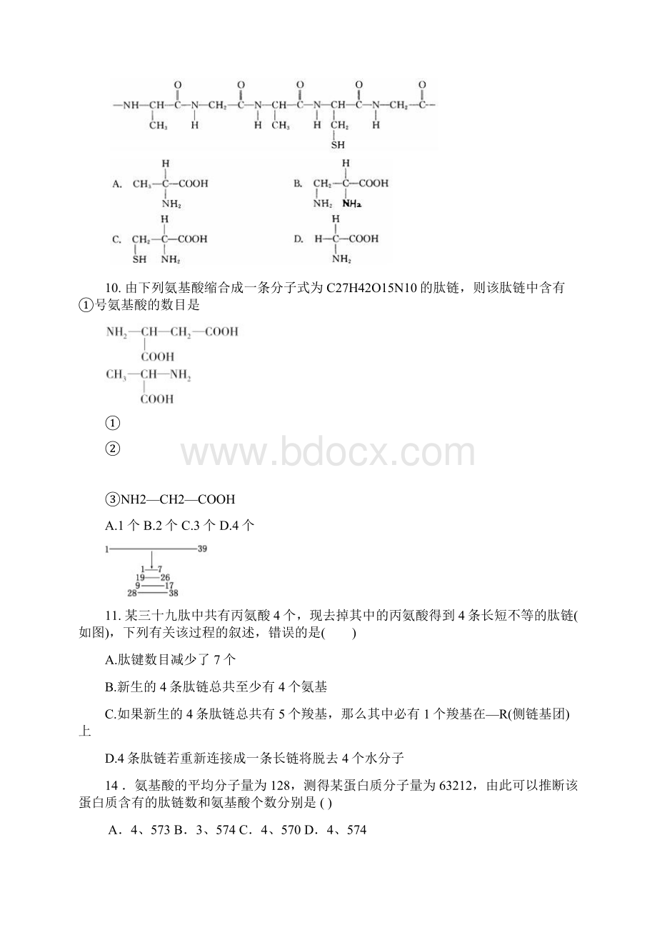 蛋白质专题训练.docx_第3页