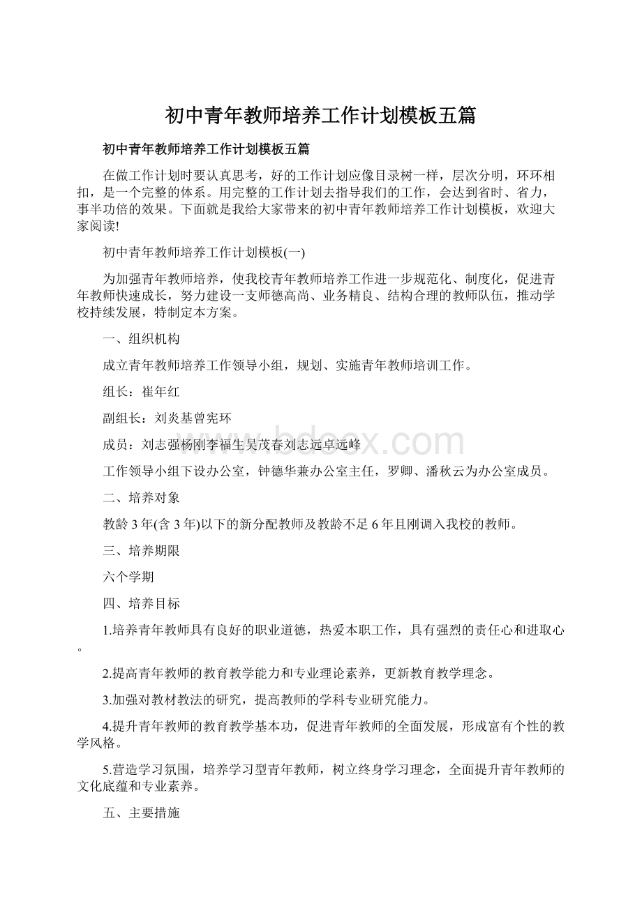 初中青年教师培养工作计划模板五篇.docx_第1页