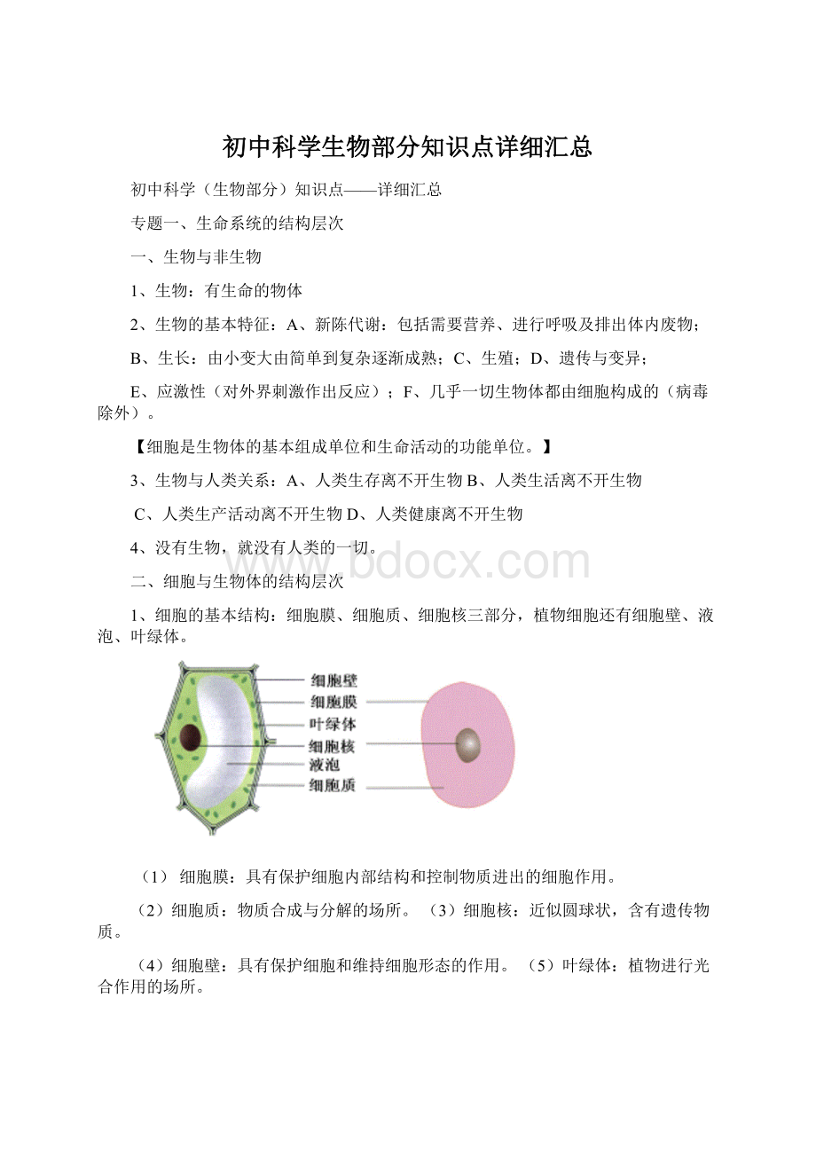 初中科学生物部分知识点详细汇总.docx_第1页