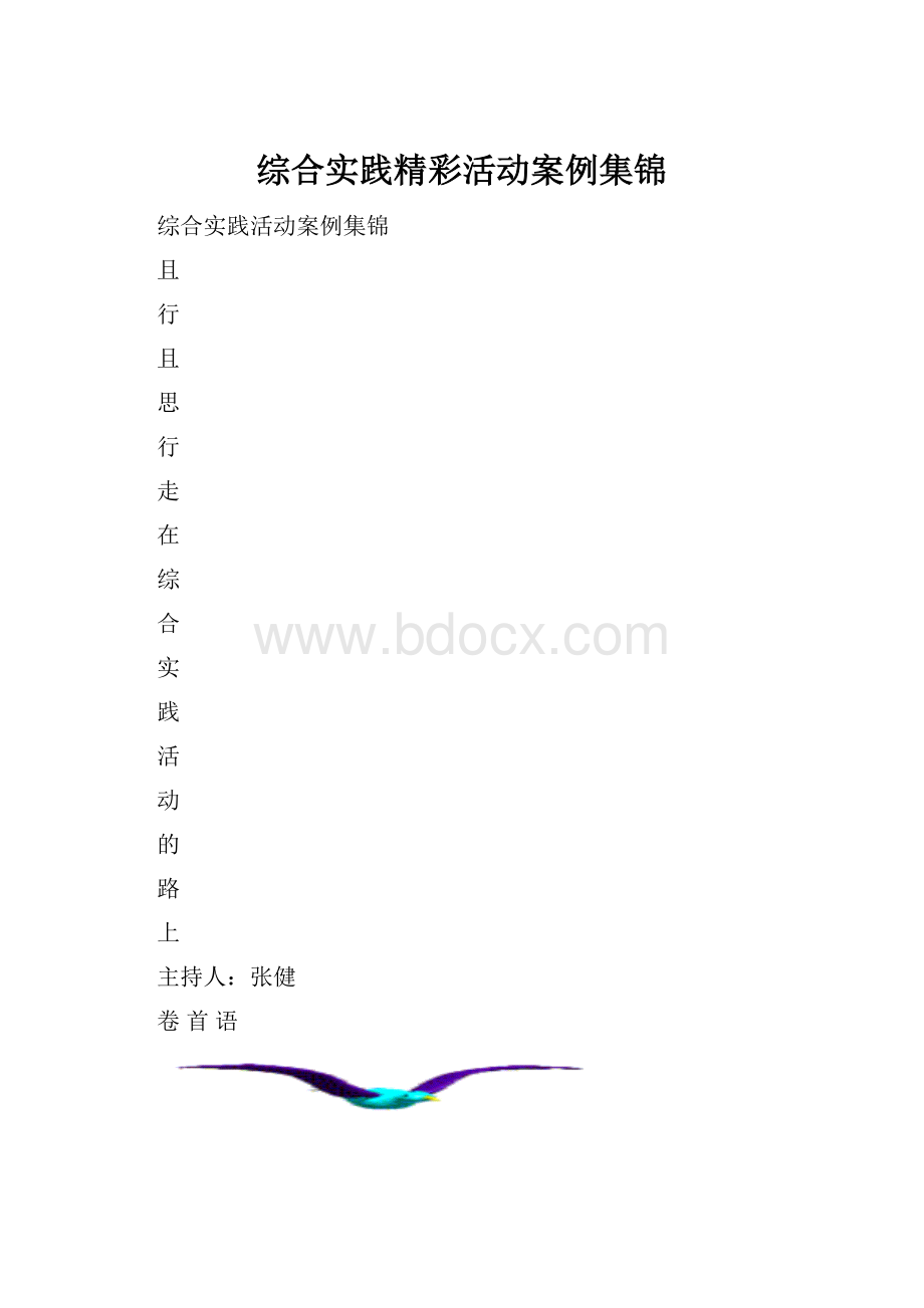 综合实践精彩活动案例集锦.docx_第1页