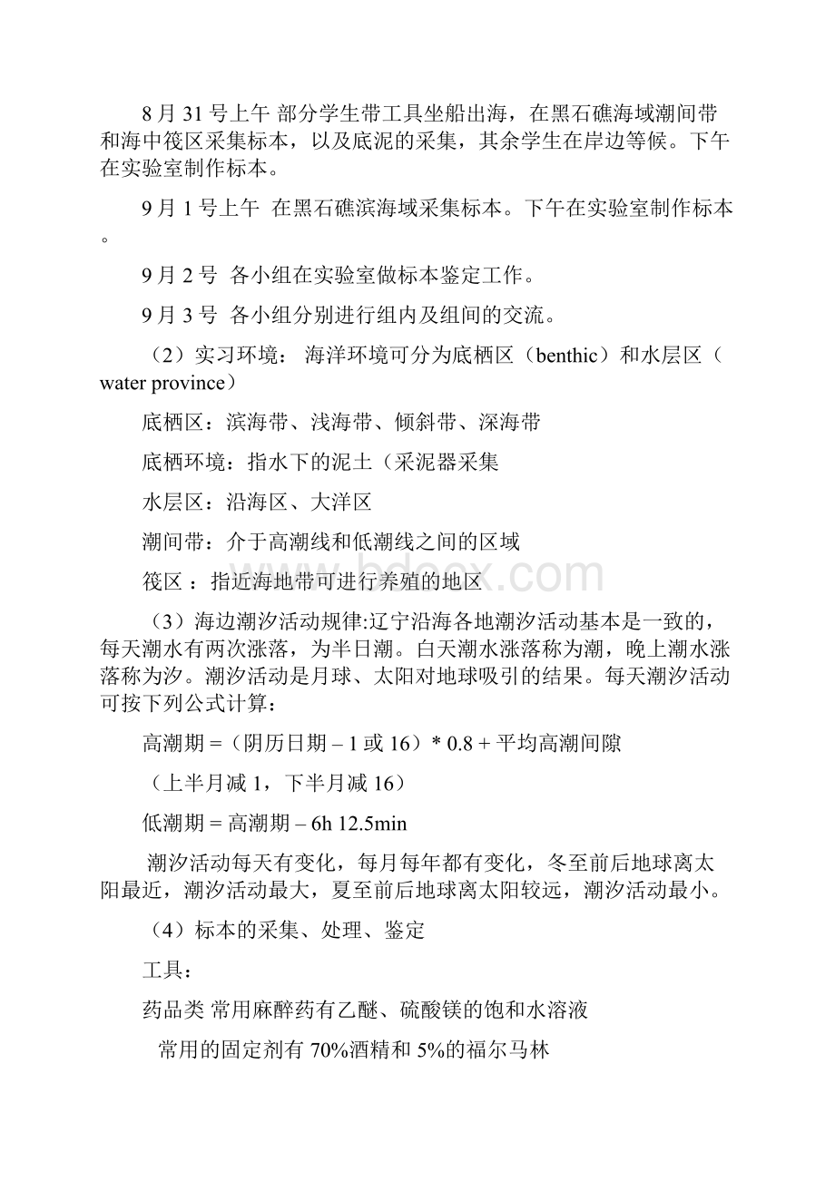 普动综合教学实习报告模板.docx_第2页