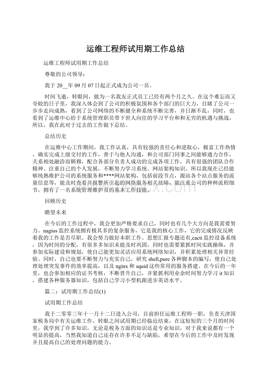 运维工程师试用期工作总结.docx_第1页