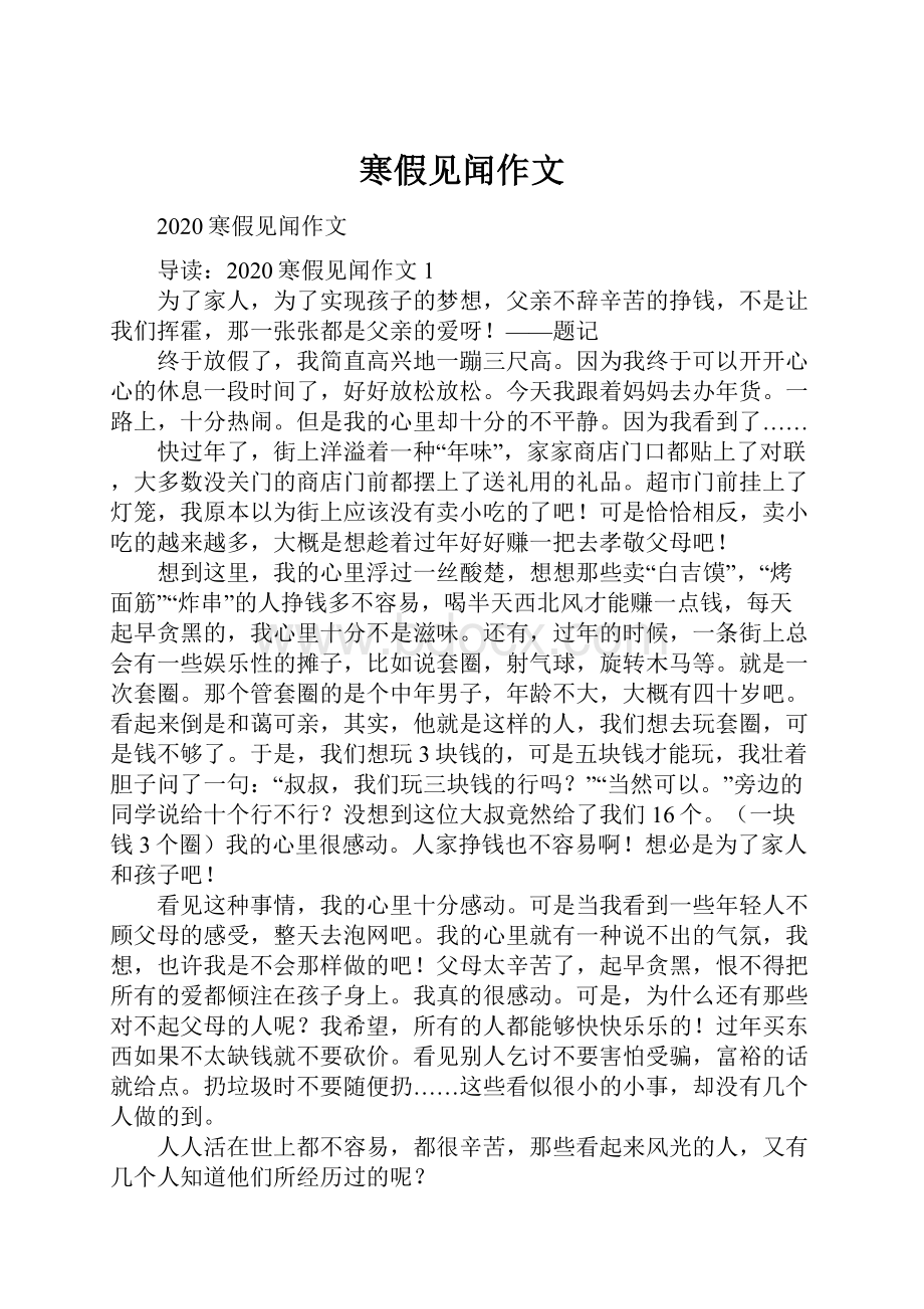 寒假见闻作文Word文档格式.docx