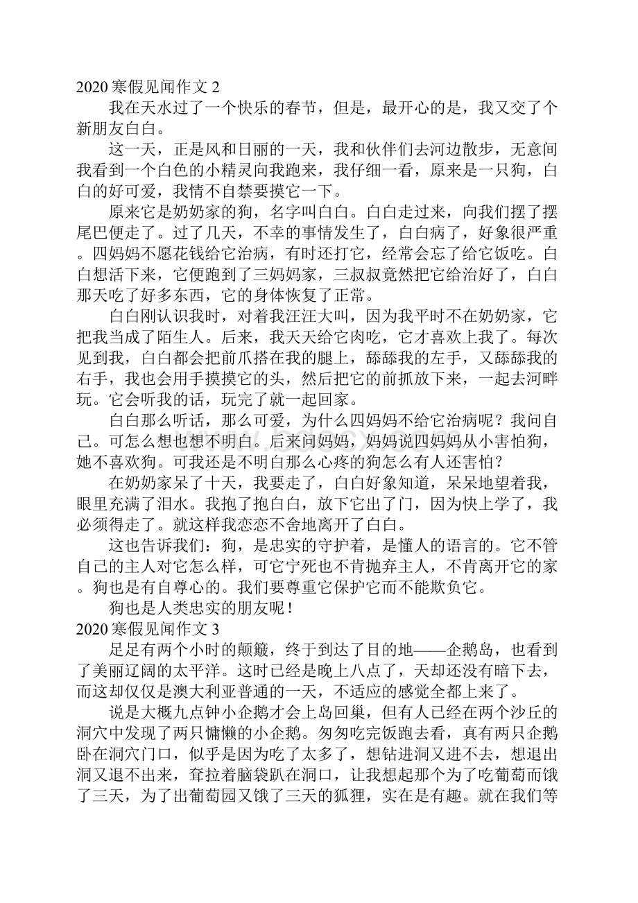 寒假见闻作文Word文档格式.docx_第2页