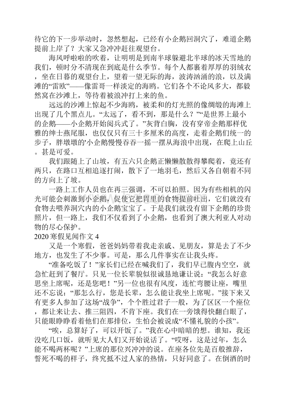 寒假见闻作文Word文档格式.docx_第3页