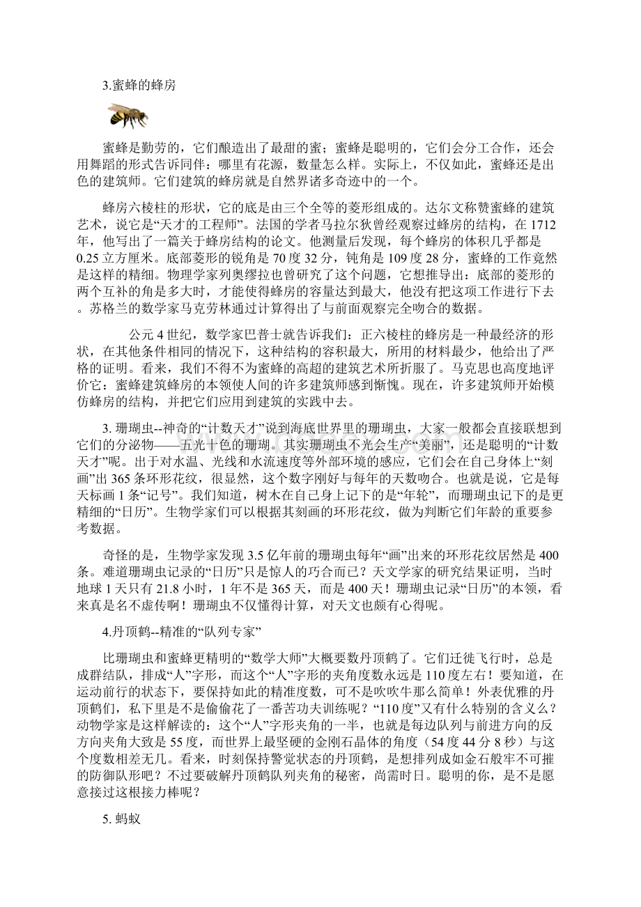 自然界中的神奇数学之欧阳物创编.docx_第2页