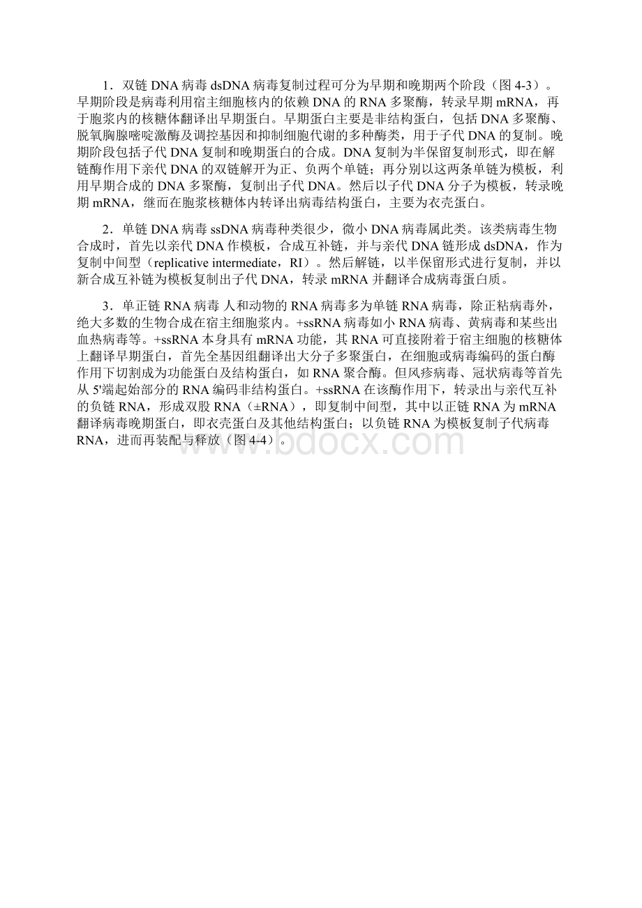 病毒的复制增殖过程Word格式文档下载.docx_第3页