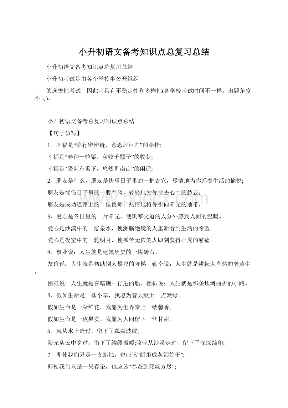 小升初语文备考知识点总复习总结.docx