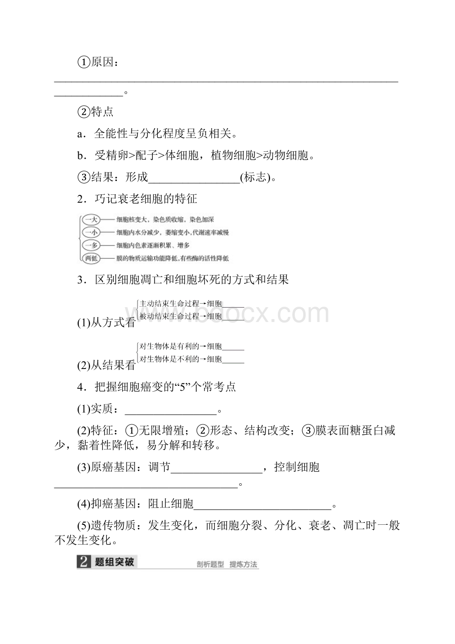 高考生物大二轮总复习增分策略专题三必考点10生命有序的细胞历程试题文档格式.docx_第2页