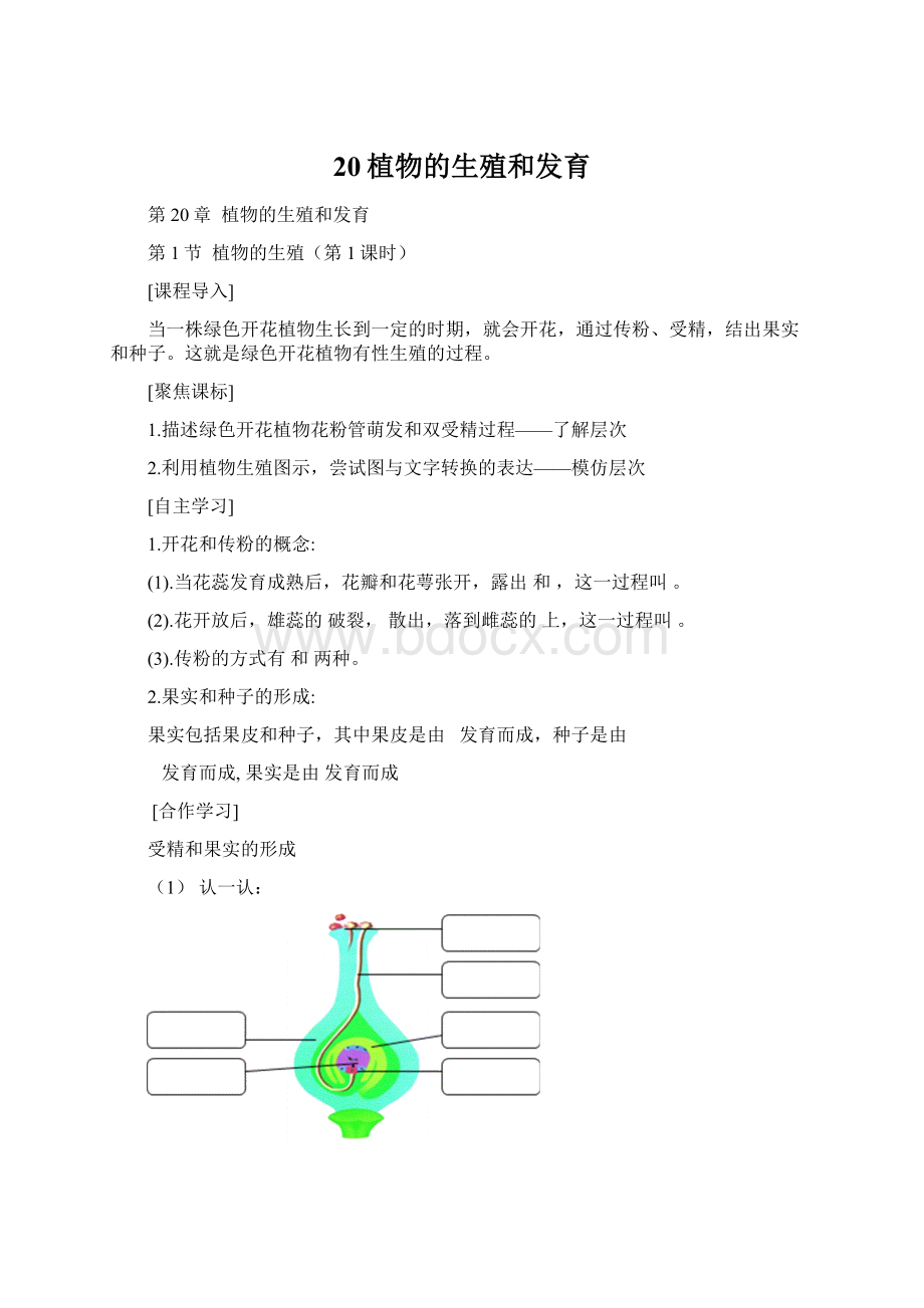 20植物的生殖和发育.docx_第1页