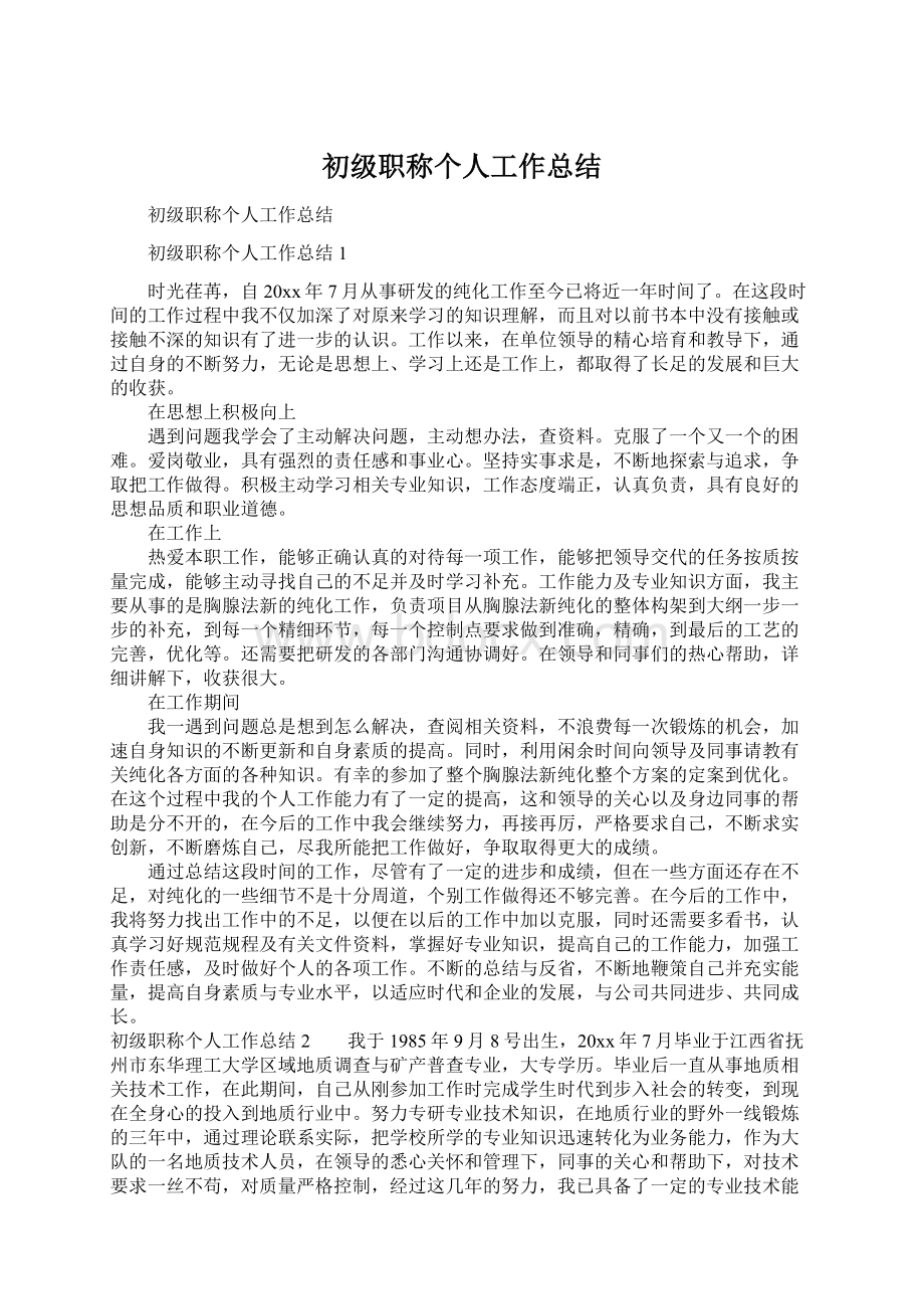 初级职称个人工作总结.docx