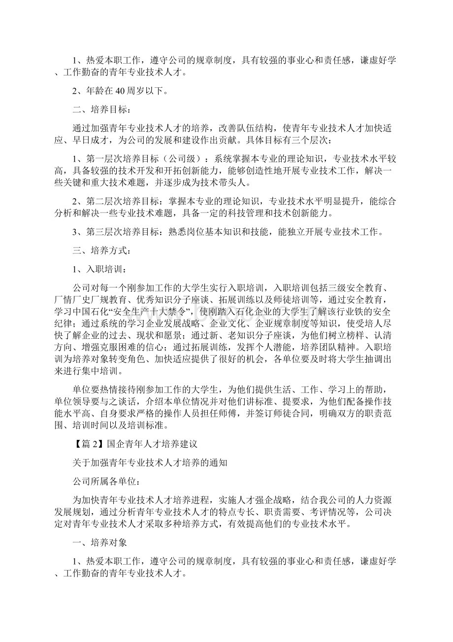 国企青年人才培养建议范文精选4篇.docx_第2页