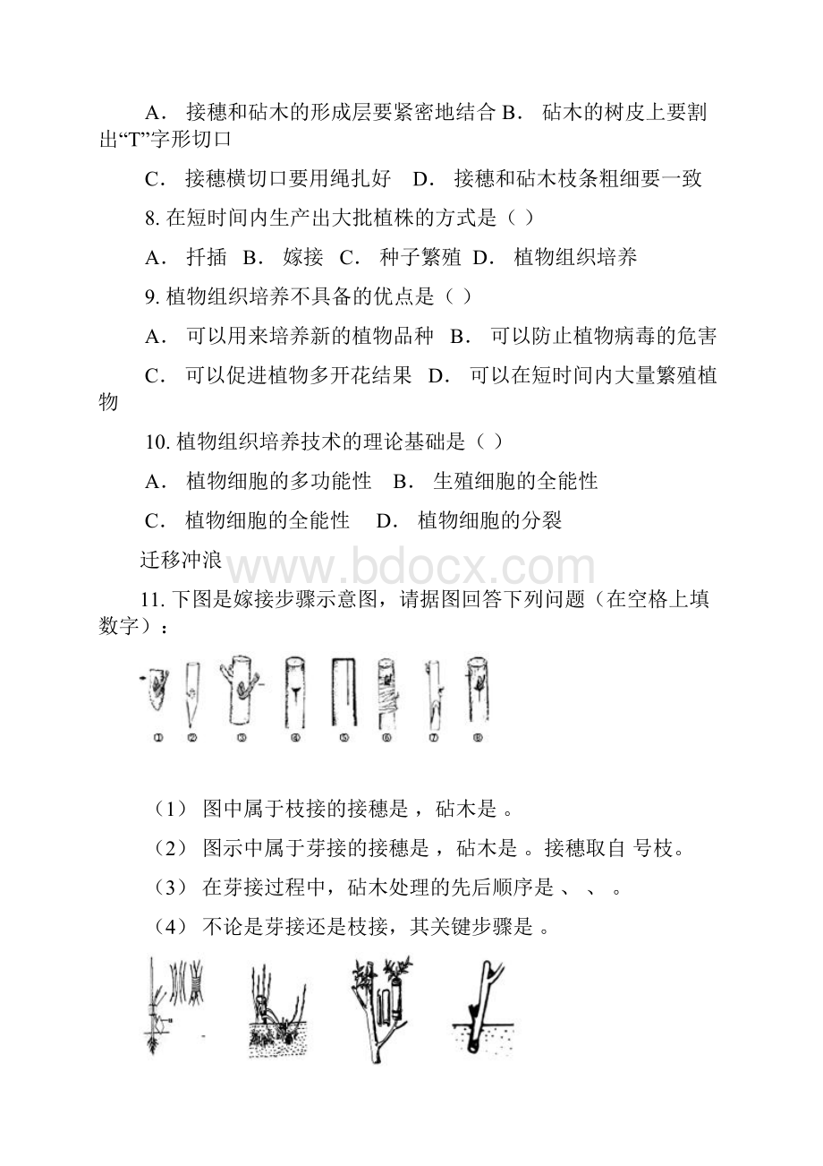 八年级生物上册全册同步测试及期末试题.docx_第2页