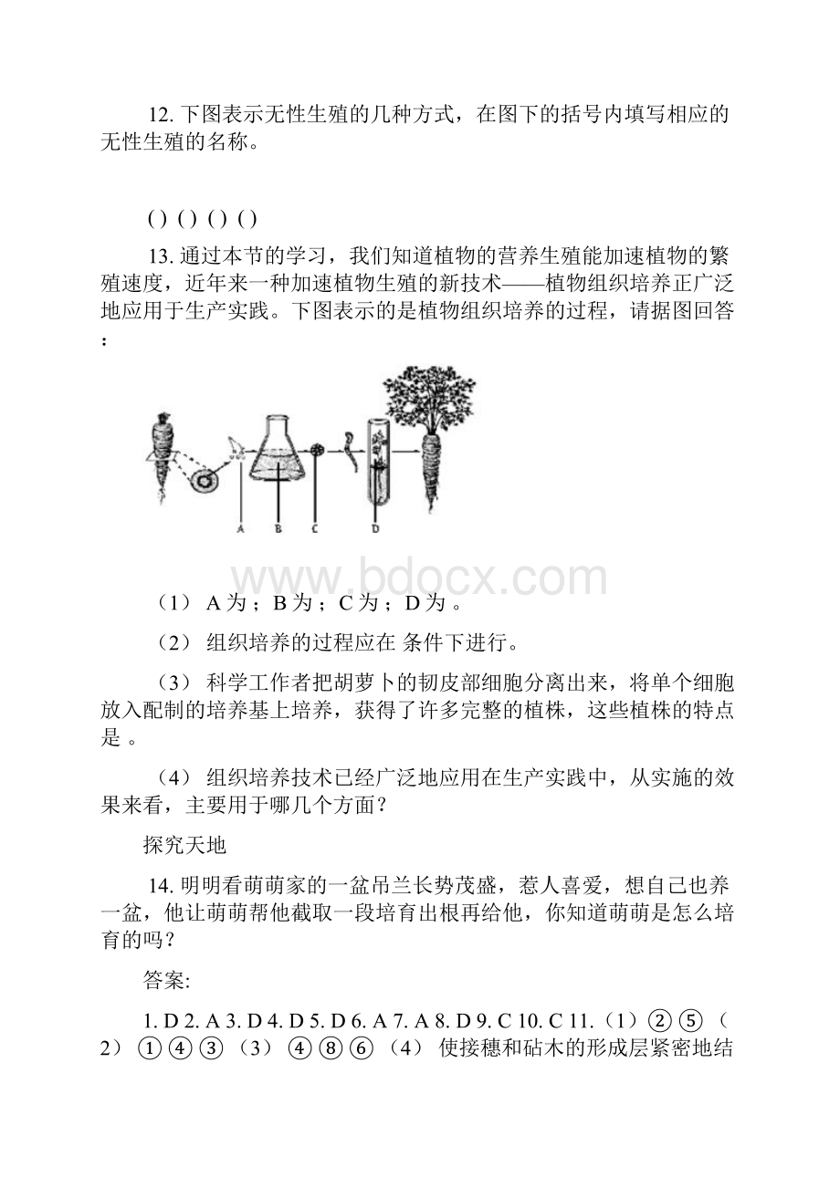 八年级生物上册全册同步测试及期末试题.docx_第3页