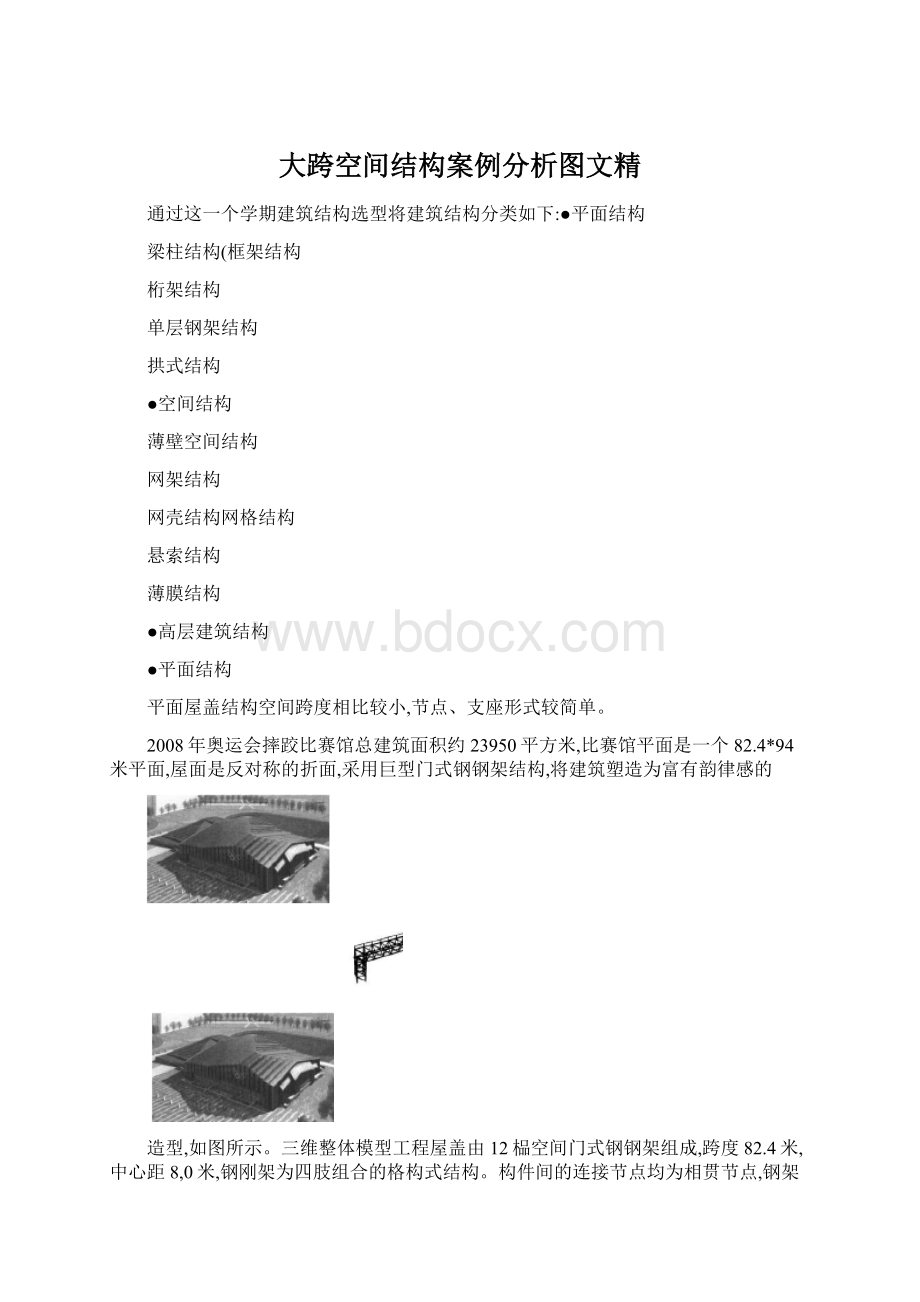 大跨空间结构案例分析图文精.docx