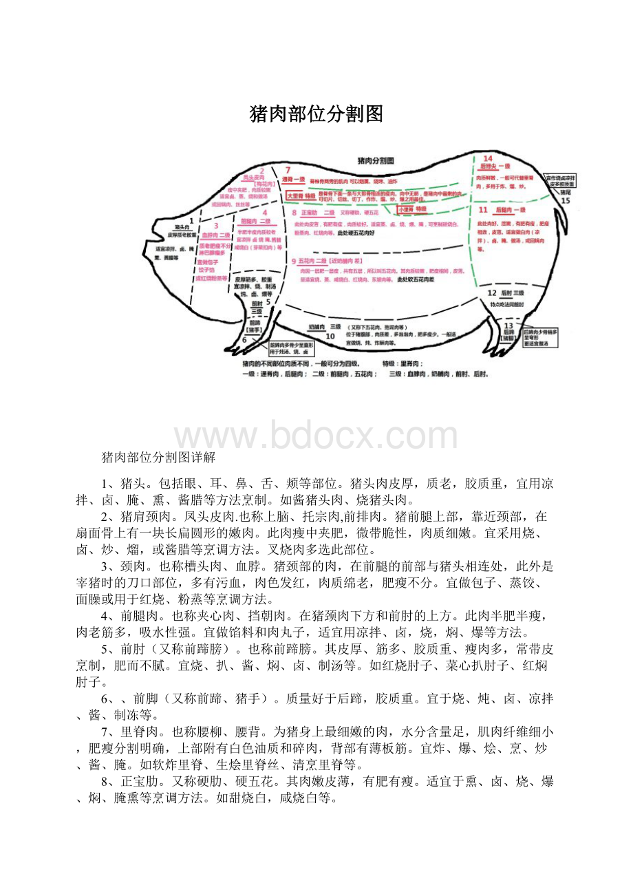 猪肉部位分割图Word文档格式.docx_第1页