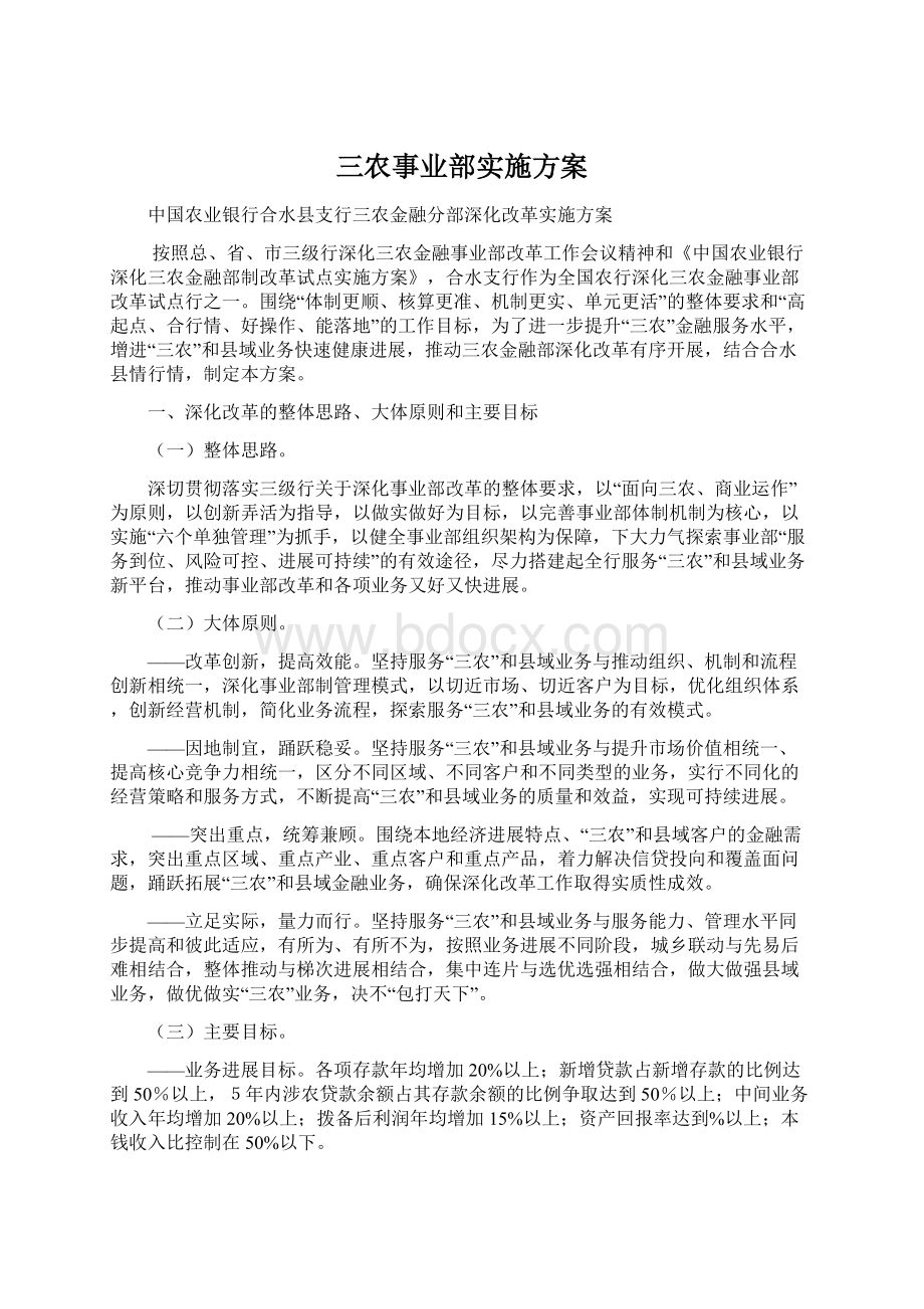 三农事业部实施方案文档格式.docx